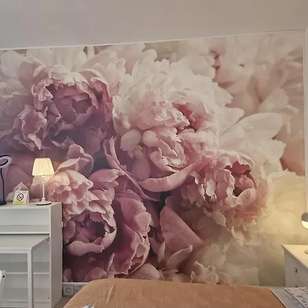 Casa Le Coccole Apartment *